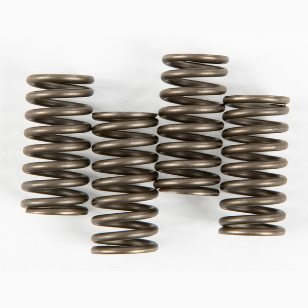 EBC CSK Clutch Spring Kit - CSK150