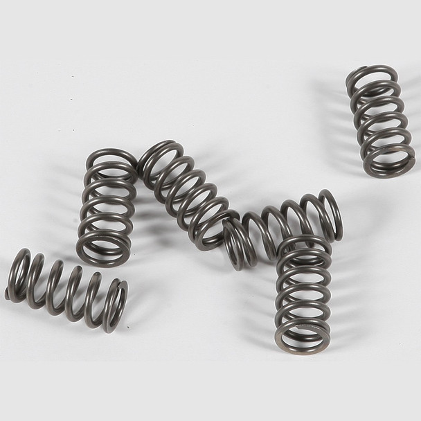 EBC CSK Clutch Spring Kit - CSK139