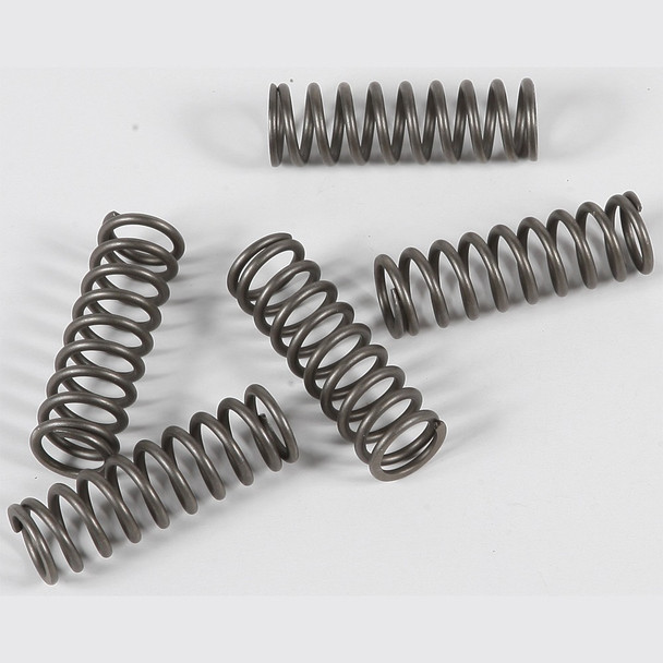 EBC CSK Clutch Spring Kit - CSK124