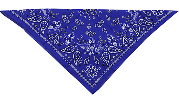 ZAN Paisley Cotton Bandana