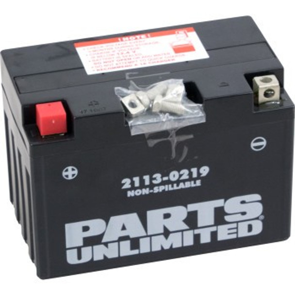 Parts Unlimited AGM Maintenance-Free Battery - YT12A-BS