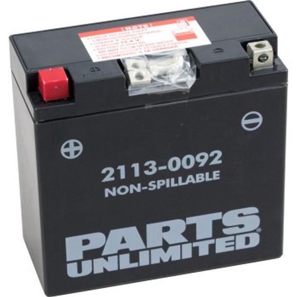 Parts Unlimited AGM Maintenance-Free Battery - YT14B4
