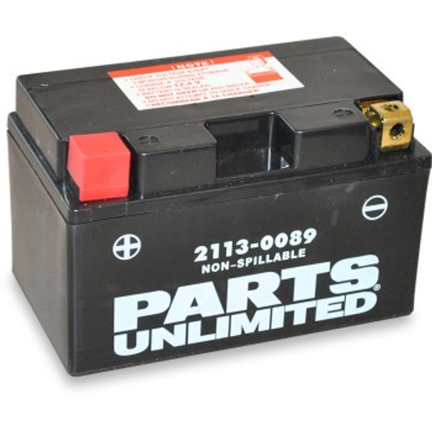 Parts Unlimited AGM Maintenance-Free Battery - YTZ10S