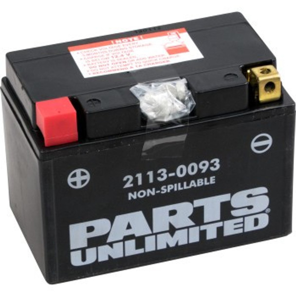 Parts Unlimited AGM Maintenance-Free Battery - YTZ14S