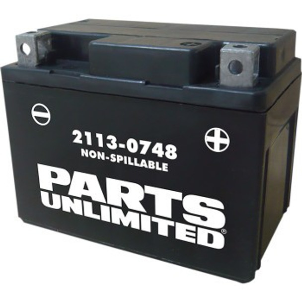 Parts Unlimited AGM Maintenance-Free Battery - YTX4L