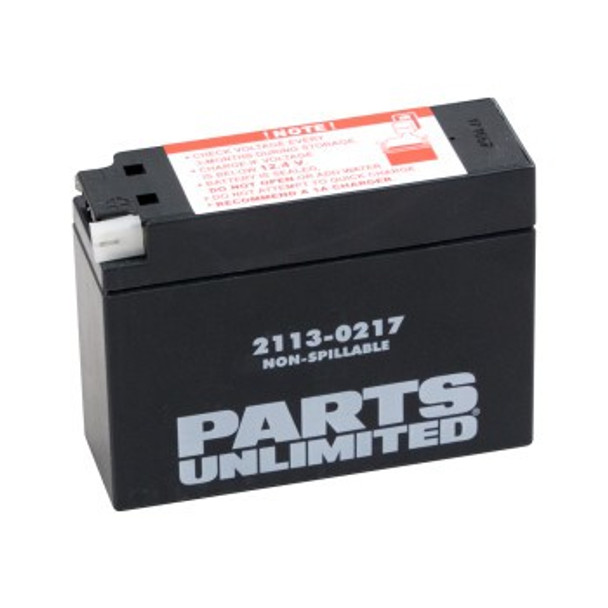 Parts Unlimited AGM Maintenance-Free Battery - YT4B-BS