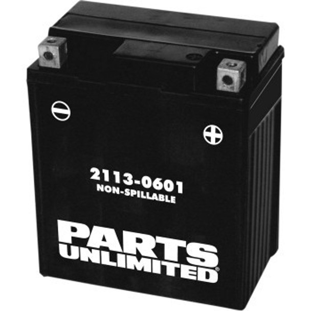 Parts Unlimited AGM Maintenance-Free Battery - YTZ8V