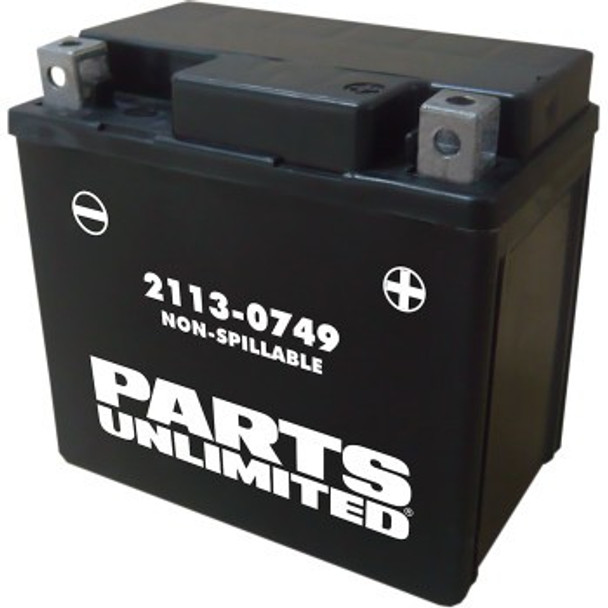Parts Unlimited AGM Maintenance-Free Battery - YTX5L