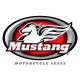 Mustang category