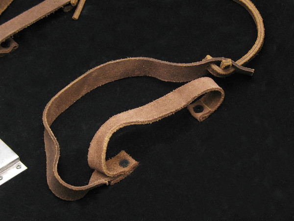 Game of Thrones Lannister Shield