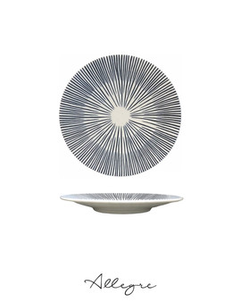 8 in. Salad Plate - Ivory Ray