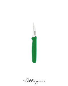 2.5 in. Blade Peeling Knife, Green Handle, Professional Grade - Premier Everyday