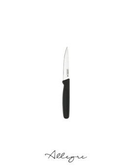 3 in. Blade Paring Knife, Black Handle, Professional Grade - Premier Everyday