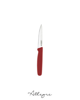 3.5 in. Blade Paring Knife, Red Handle, Professional Grade - Premier Everyday