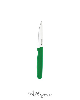 4 in. Blade Paring Knife, Green Handle, Professional Grade - Premier Everyday