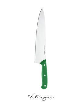 10 in. Blade Chef's Knife, Green Handle, Professional Grade - EuroPro Solo