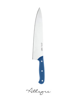 10 in. Blade Chef's Knife, Blue Handle, Professional Grade - EuroPro Solo