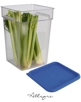 Polycarbonate Food Container 22 L. with Blue Square Lid 11.4 in.
