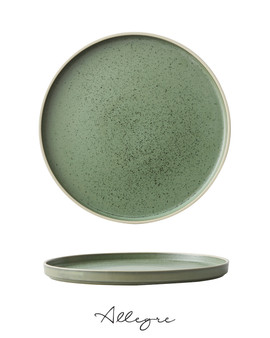 10.75 in. Dinner Plate/ Serving Plate for 2 to 3 Persons - MOD Smoky Basil