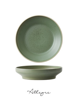 9 in. Raised Salad/ Pasta Plate/ Shallow Serving Dish for 1 to 2 Persons 971 ml - MOD Smoky Basil
