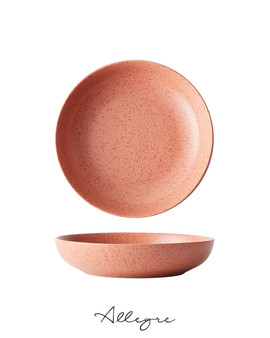9 in. Shallow Serving Dish for 4 Persons 882 ml - Lava Rusty Pink