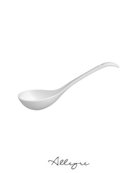 9 in. Soup Ladle - Eco