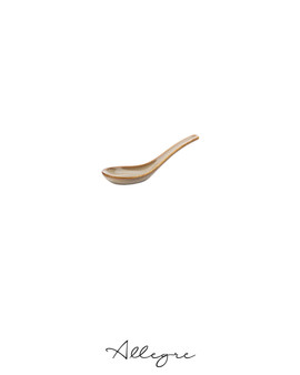 5 in. Chinese Spoon - Rustic Sama