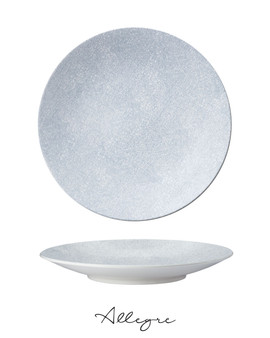 10.75 in. Dinner Plate/ Serving Plate for 2 to 3 Persons - Urban Grey