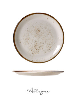 10 in. Dinner Plate/ Serving Plate for 2 to 3 Persons - Speckled White