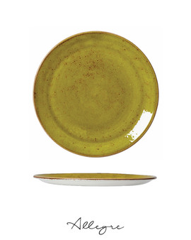 10 in. Dinner Plate/ Serving Plate for 2 to 3 Persons - Speckled Apple Green