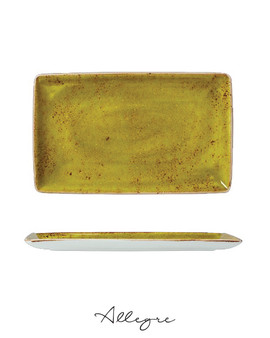 10.63in. L x 6.5in. W Rectangle Serving Plate for 2 to 3 Persons - Speckled Apple Green
