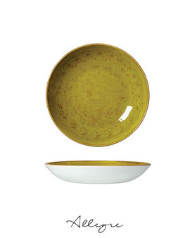 8.5 in. Individual Salad Bowl/ Shallow Serving Dish for 2 Persons 850 ml - Speckled Apple Green
