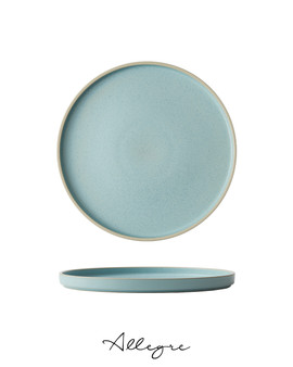 9.25 in. Salad Plate - MOD Frosted Blue