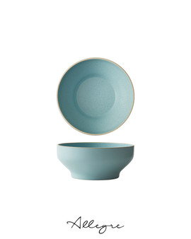 629 ml Bowl for soup, cereal, congee, noodles, ramen, etc. 6.25 in. - MOD Frosted Blue
