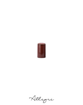 Salt Shaker - Rustic Crimson