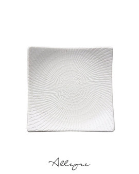 9.5 in. Square Salad/ Small Dinner Plate - Urban White