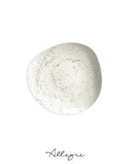 8.5 in. Salad/ Dessert Plate - Pebble