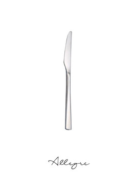 Iris Salad/ Dessert Knife; Asian Dinner Knife