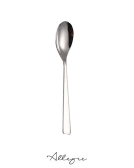 Iris Serving Spoon 10 in.