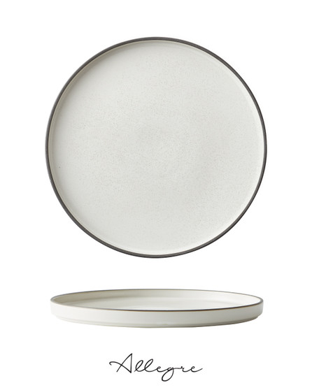 10.75 in. Dinner Plate/ Serving Plate for 2 to 3 Persons - MOD Dusted White