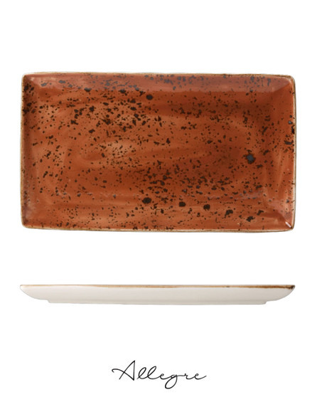 13in. L x 7.5in. W Rectangle Serving Plate for 4 to 5 Persons - Speckled Terra
