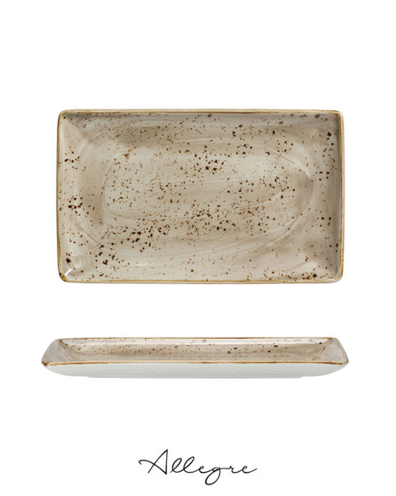 10.63in. L x 6.5in. W Rectangle Serving Plate for 2 to 3 Persons - Speckled Porcini