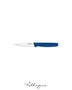 3.5 in. Blade Paring Knife, Blue handle, Professional Grade - Premier Everyday