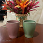 247 ml Tumbler/ Tea Cup - MOD Smoky Basil
