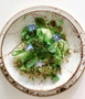 9 in. Salad Plate - Speckled White
