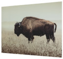 Brutus - Sepia - Wall Art