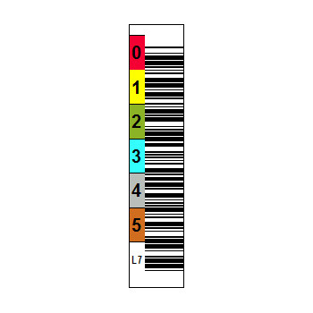 Custom LTO Barcode Labels Custom LTO Barcode Labels