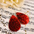 Sparkly Red Earrings Sparkly Red Earrings