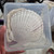 Preloved Shell Craft Kit – DIY Shell Bikini Top Set