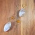 Golden Echo Dendritic Agate Earrings